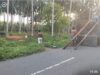 30846320-74d7-483d-9954-7d253b6f2ef9